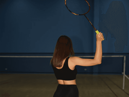Indoor Badminton Court